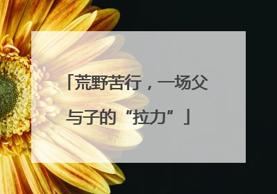 荒野苦行，一场父与子的“拉力”