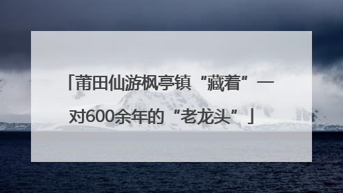 莆田仙游枫亭镇“藏着”一对600余年的“老龙头”