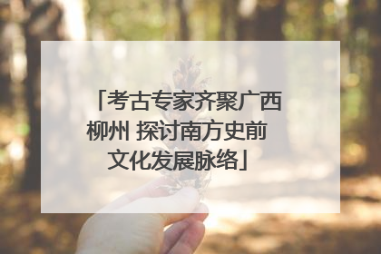 考古专家齐聚广西柳州 探讨南方史前文化发展脉络
