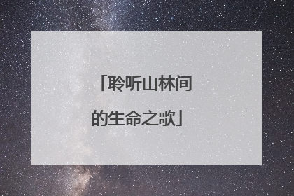 聆听山林间的生命之歌