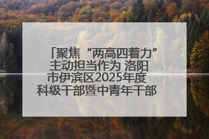 聚焦“两高四着力” 主动担当作为 洛阳市伊滨区2025年度科级干部暨中青年干部培训班开班