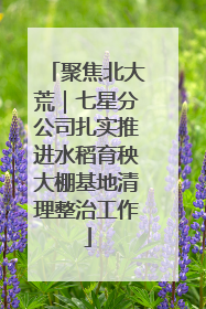 聚焦北大荒｜七星分公司扎实推进水稻育秧大棚基地清理整治工作