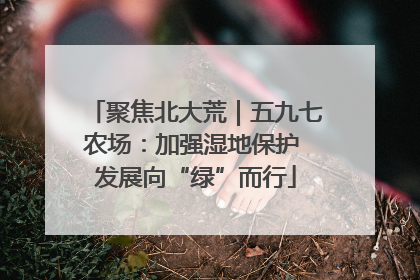 聚焦北大荒｜五九七农场：加强湿地保护 发展向“绿”而行