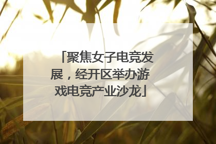 聚焦女子电竞发展，经开区举办游戏电竞产业沙龙