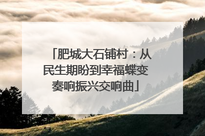 肥城大石铺村：从民生期盼到幸福蝶变奏响振兴交响曲