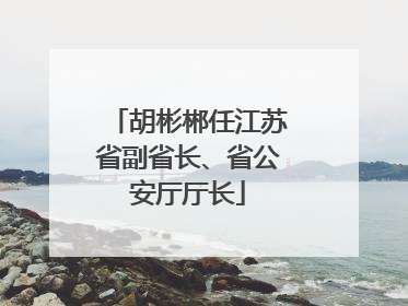 胡彬郴任江苏省副省长、省公安厅厅长