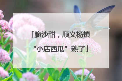 脆沙甜，顺义杨镇“小店西瓜”熟了
