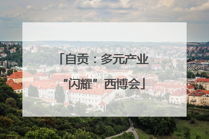 自贡：多元产业“闪耀”西博会