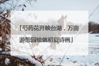 芍药花开映台湖，万亩游憩园绘就初夏诗画
