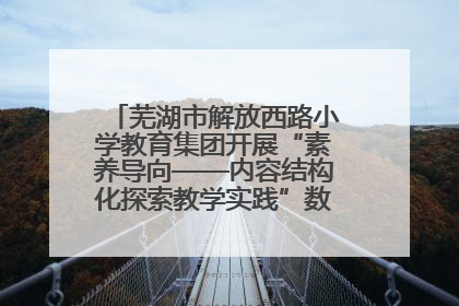 芜湖市解放西路小学教育集团开展“素养导向——内容结构化探索教学实践”数学专题研讨活动