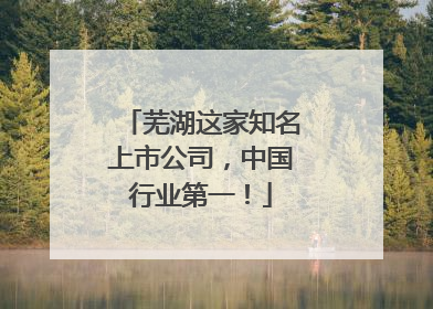 芜湖这家知名上市公司，中国行业第一！