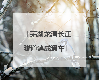 芜湖龙湾长江隧道建成通车