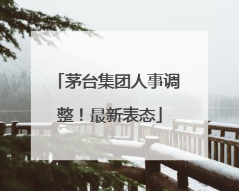茅台集团人事调整！最新表态