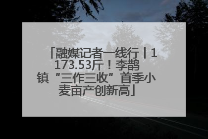 融媒记者一线行丨1173.53斤！李鹊镇“三作三收”首季小麦亩产创新高