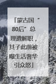 蒙古国“80后”总理遭解职，其子此前被曝生活奢华引众怒