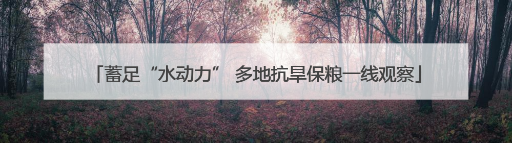 蓄足“水动力” 多地抗旱保粮一线观察