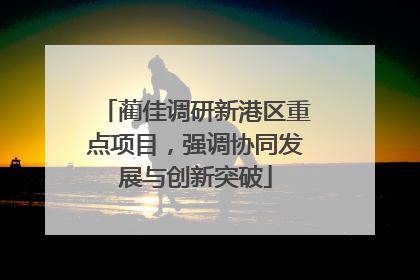 蔺佳调研新港区重点项目，强调协同发展与创新突破