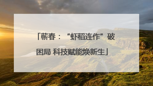 蕲春：“虾稻连作”破困局 科技赋能焕新生