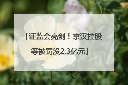 证监会亮剑！京汉控股等被罚没2.3亿元