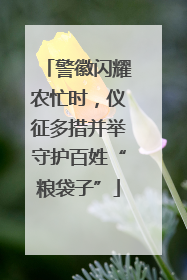 警徽闪耀农忙时，仪征多措并举守护百姓“粮袋子”