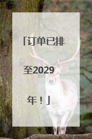 订单已排至2029年！