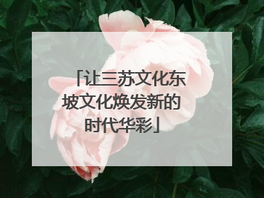 让三苏文化东坡文化焕发新的时代华彩