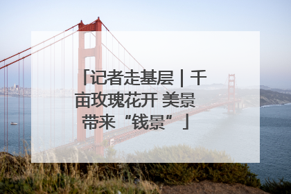 记者走基层｜千亩玫瑰花开 美景带来“钱景”