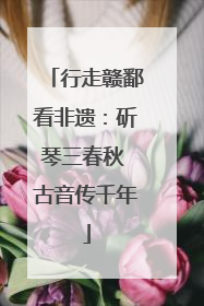 行走赣鄱看非遗：斫琴三春秋 古音传千年