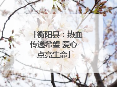衡阳县：热血传递希望 爱心点亮生命