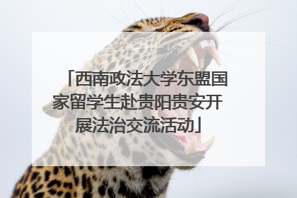 西南政法大学东盟国家留学生赴贵阳贵安开展法治交流活动