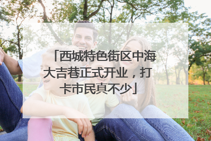 西城特色街区中海大吉巷正式开业，打卡市民真不少