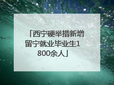 西宁硬举措新增留宁就业毕业生1800余人