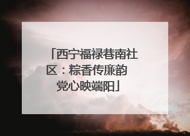 西宁福禄巷南社区：粽香传廉韵 党心映端阳