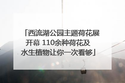 西流湖公园主题荷花展开幕 110余种荷花及水生植物让你一次看够