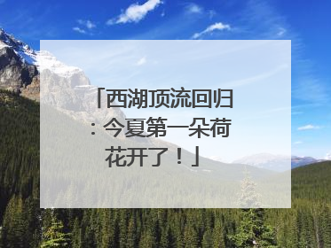 西湖顶流回归：今夏第一朵荷花开了！