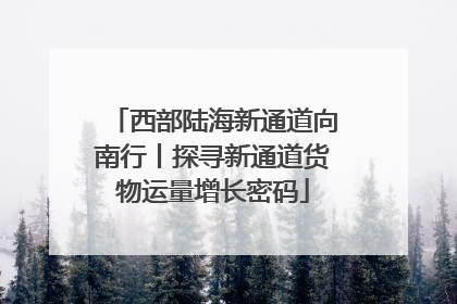 西部陆海新通道向南行丨探寻新通道货物运量增长密码