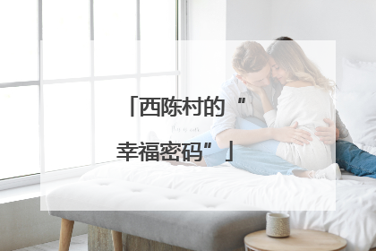 西陈村的“幸福密码”