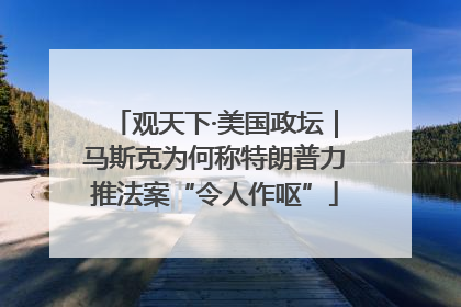 观天下·美国政坛｜马斯克为何称特朗普力推法案“令人作呕”
