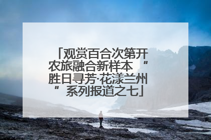 观赏百合次第开 农旅融合新样本 “胜日寻芳·花漾兰州”系列报道之七