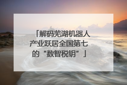 解码芜湖机器人产业跃居全国第七的“数智税钥”