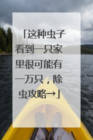 这种虫子看到一只家里很可能有一万只，除虫攻略→