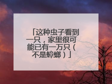 这种虫子看到一只，家里很可能已有一万只（不是蟑螂）
