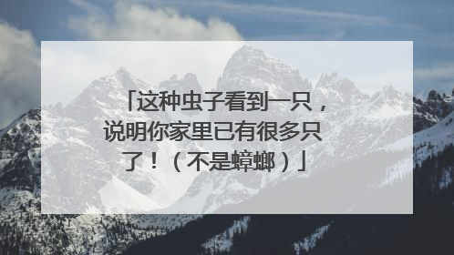 这种虫子看到一只，说明你家里已有很多只了！（不是蟑螂）