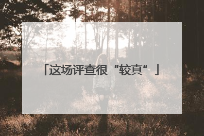 这场评查很“较真”