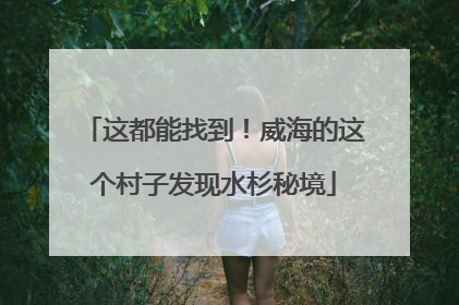这都能找到！威海的这个村子发现水杉秘境