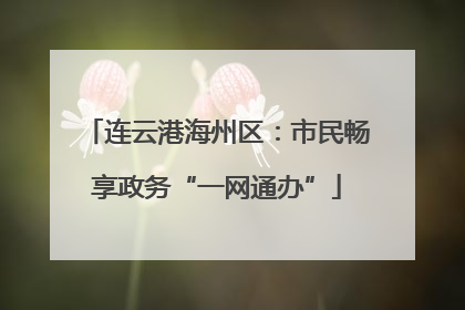 连云港海州区：市民畅享政务“一网通办”