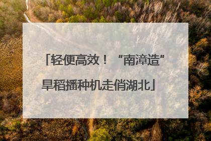 轻便高效！“南漳造”旱稻播种机走俏湖北