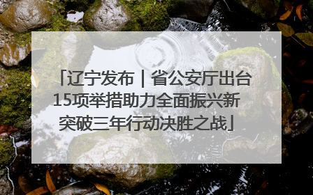 辽宁发布｜省公安厅出台15项举措助力全面振兴新突破三年行动决胜之战