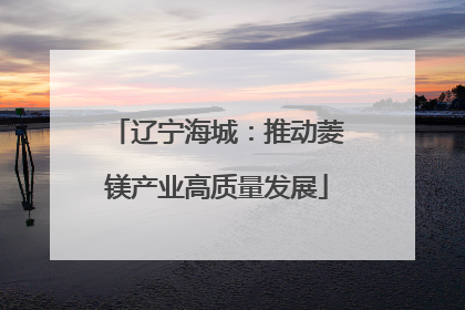 辽宁海城：推动菱镁产业高质量发展