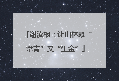 谢汝根：让山林既“常青”又“生金”
